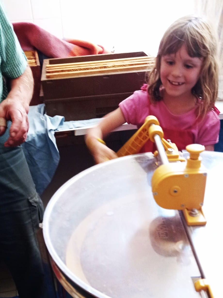 220715_Récolte miel17.jpeg