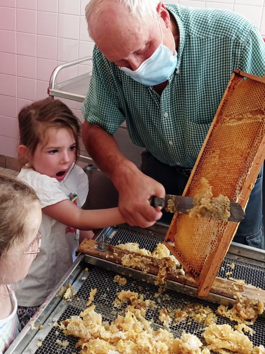 220715_Récolte miel10.jpeg