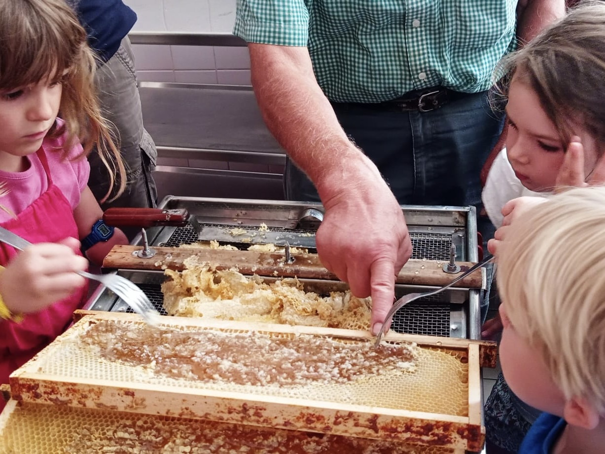 220715_Récolte miel18.jpeg