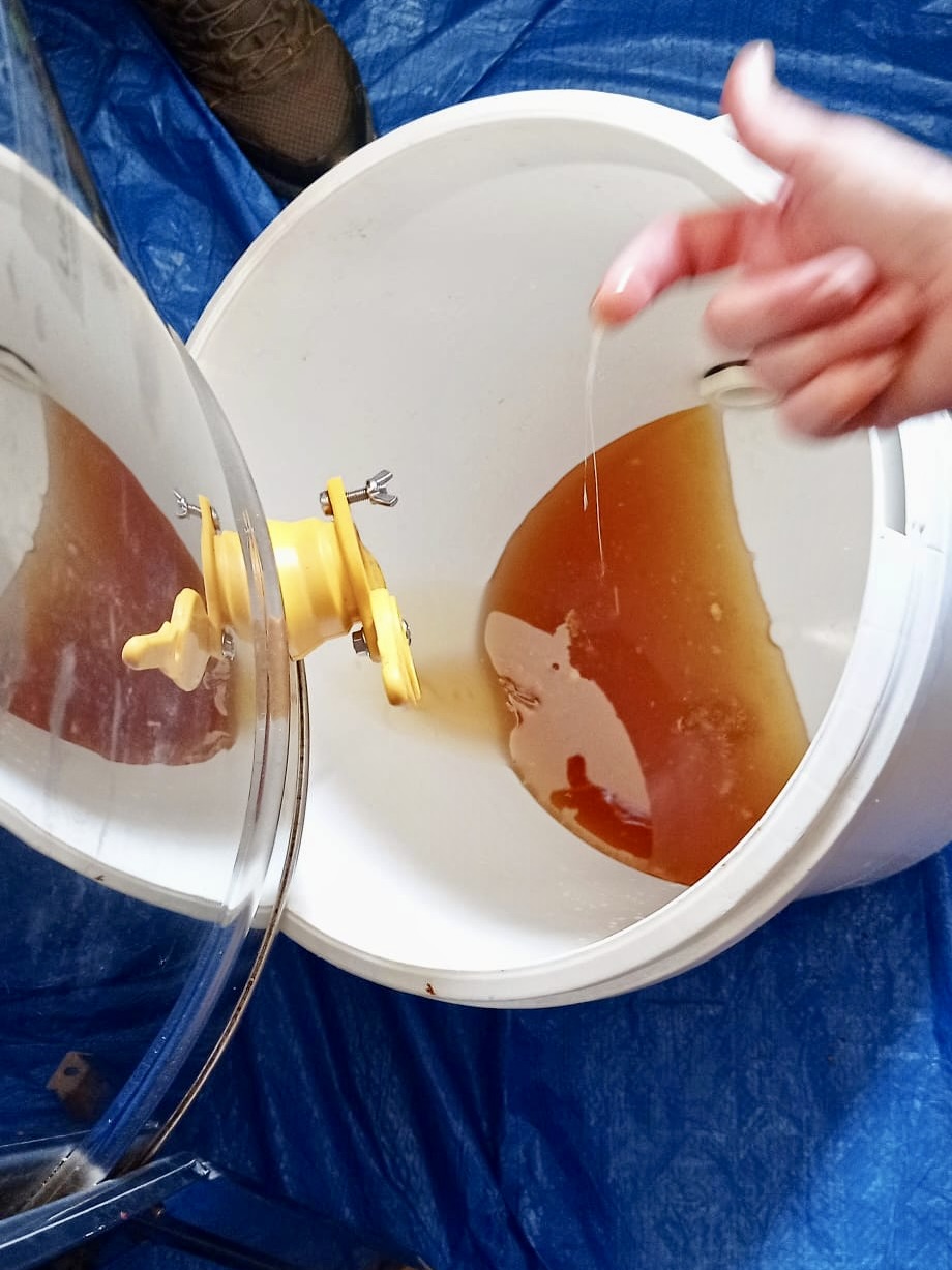 220715_Récolte miel06.jpeg