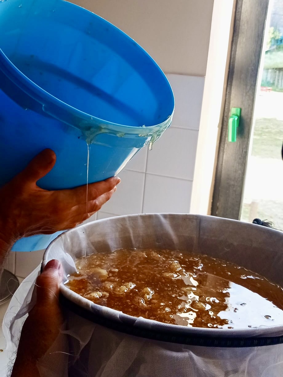 220715_Récolte miel03.jpeg