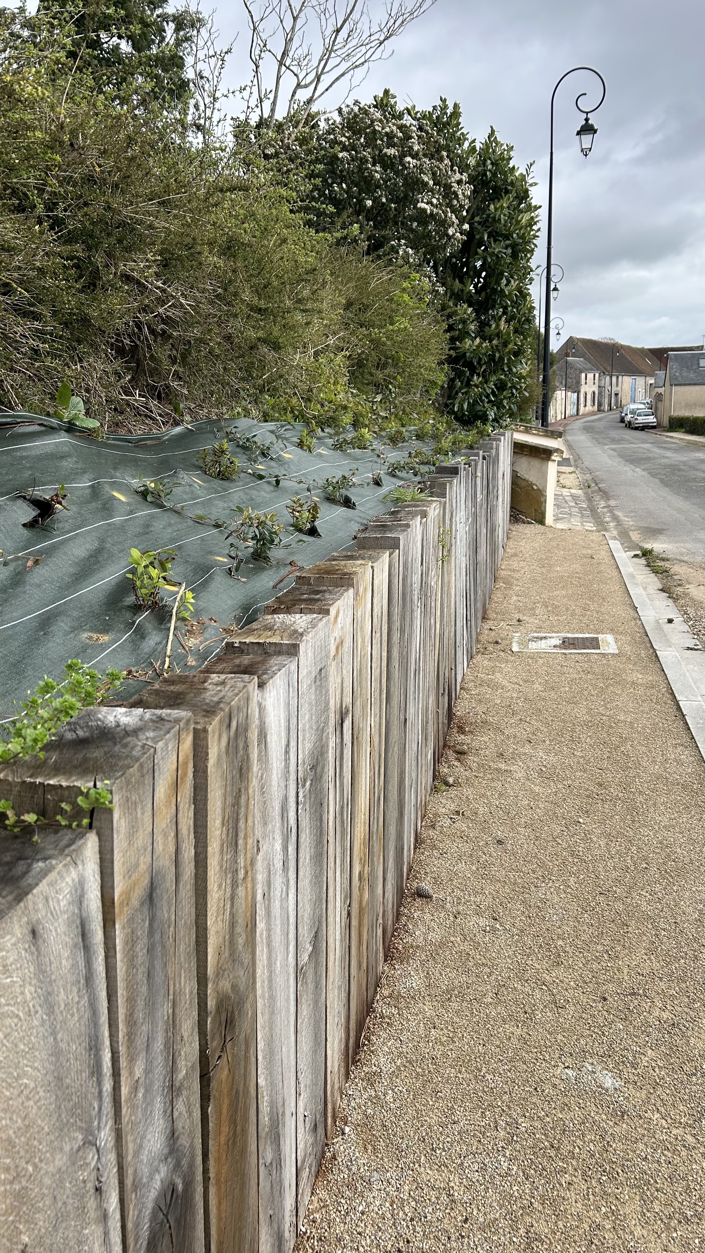 Rue de Chartres - Végétations 2.jpg