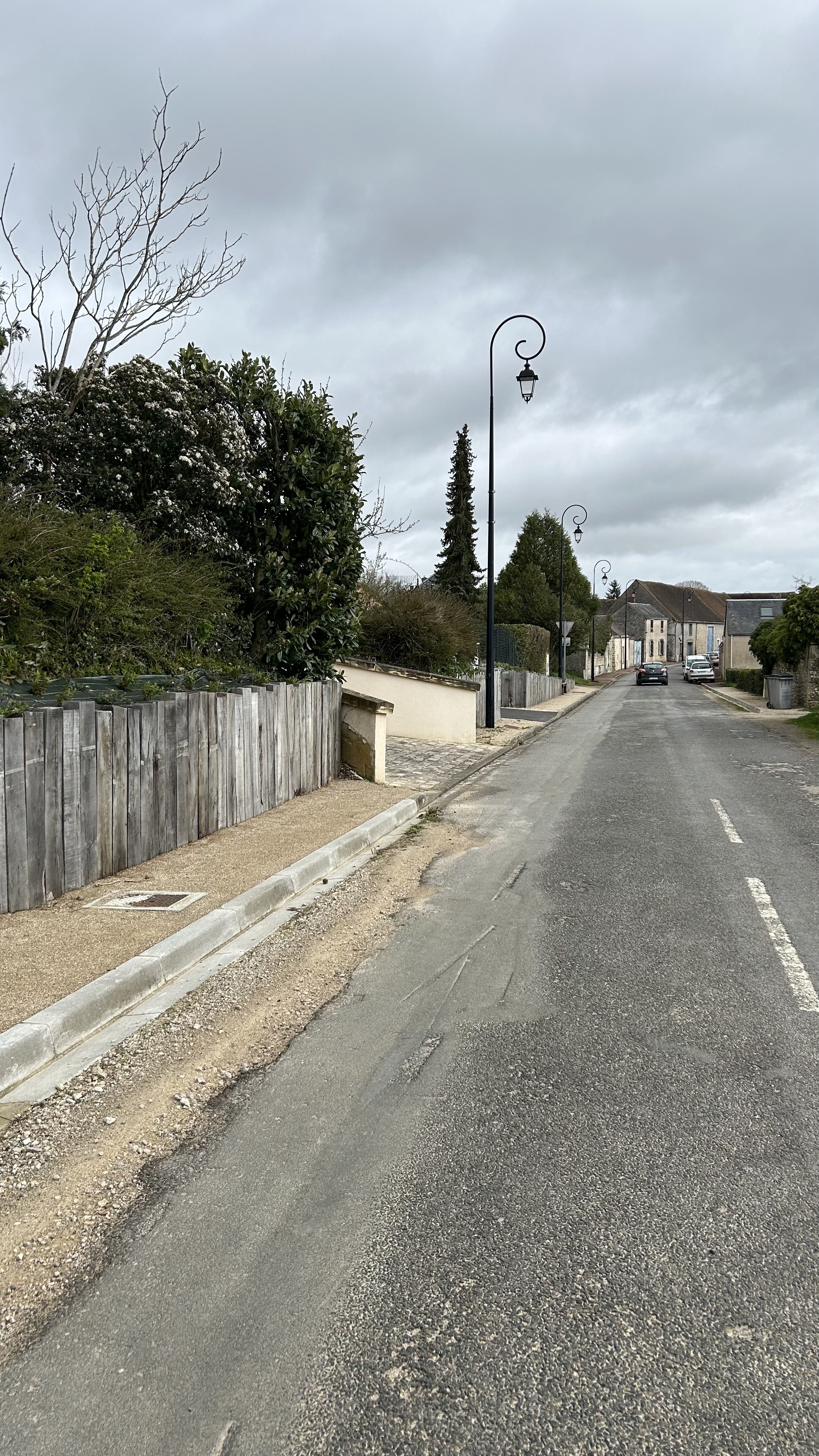 Rue de Chartres - Végétations 1.jpg