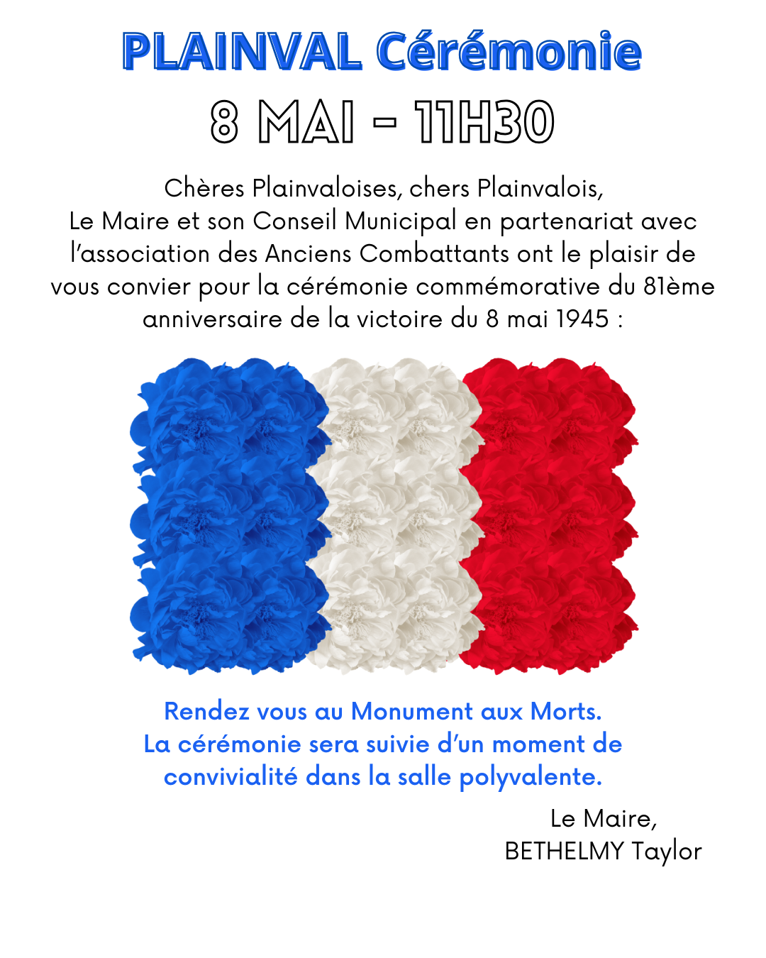 Publication Instagram Commémoration Journée du 8 Mai Moderne Bleu Blanc Rouge _1_.png
