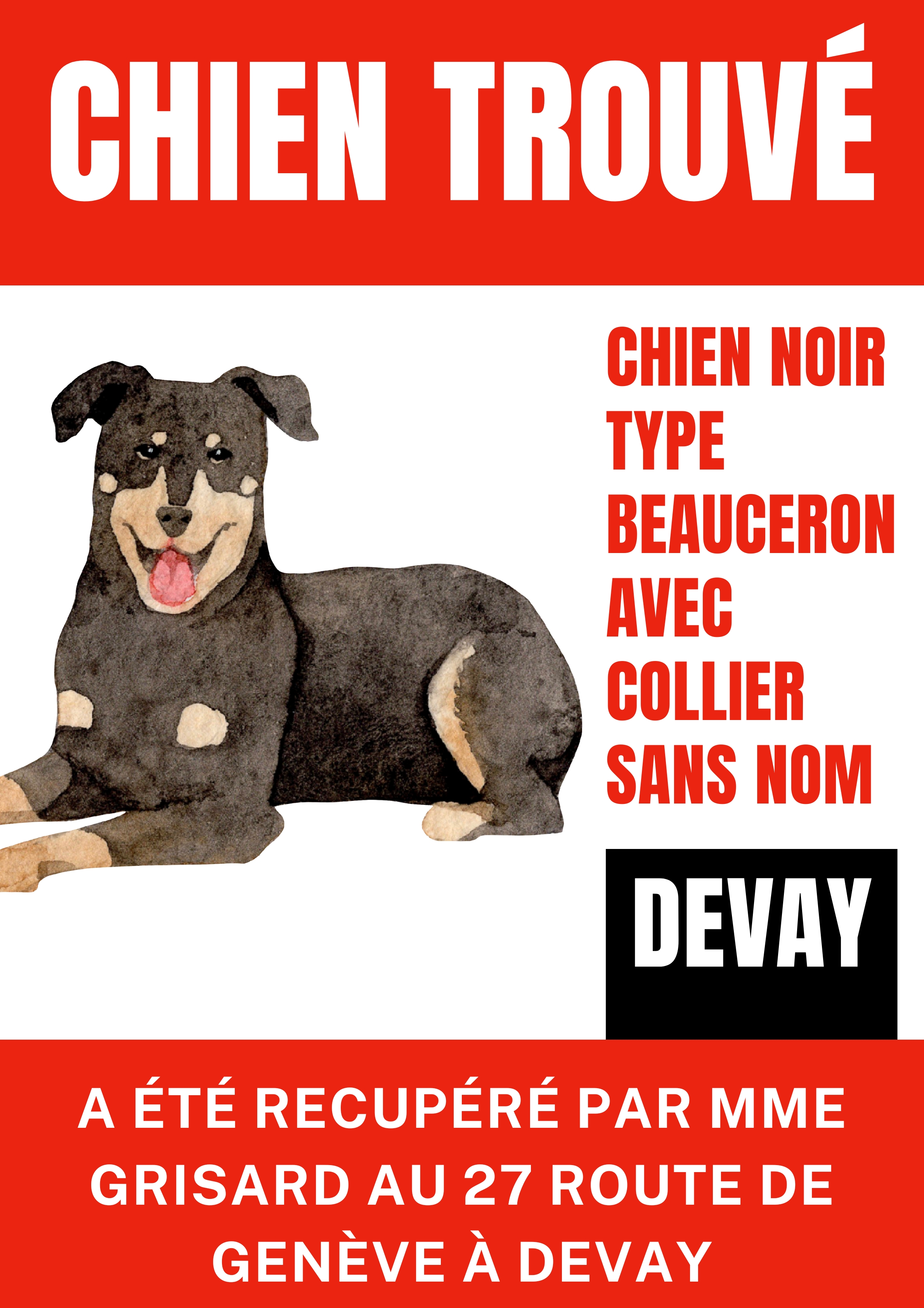 CHIEN PERDU