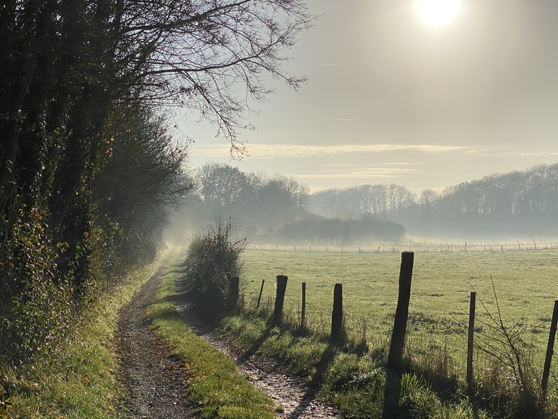 chemin brume.png