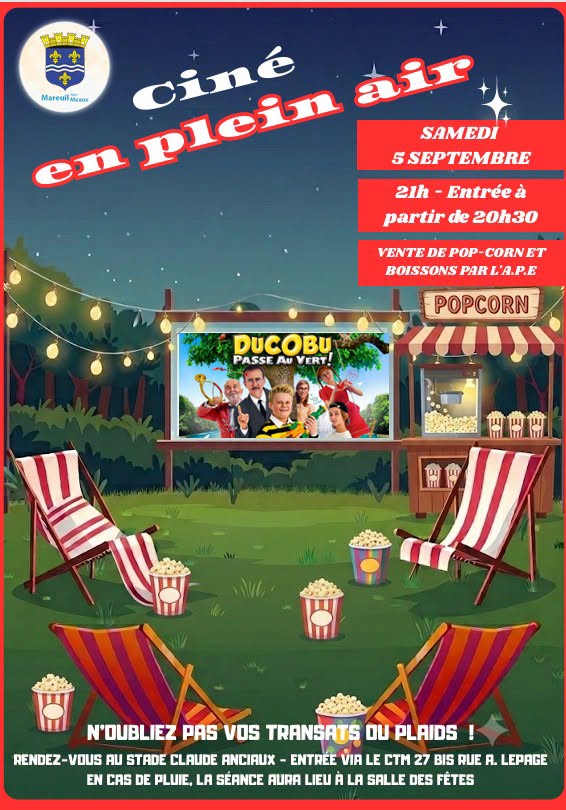 ciné plein air.jpg