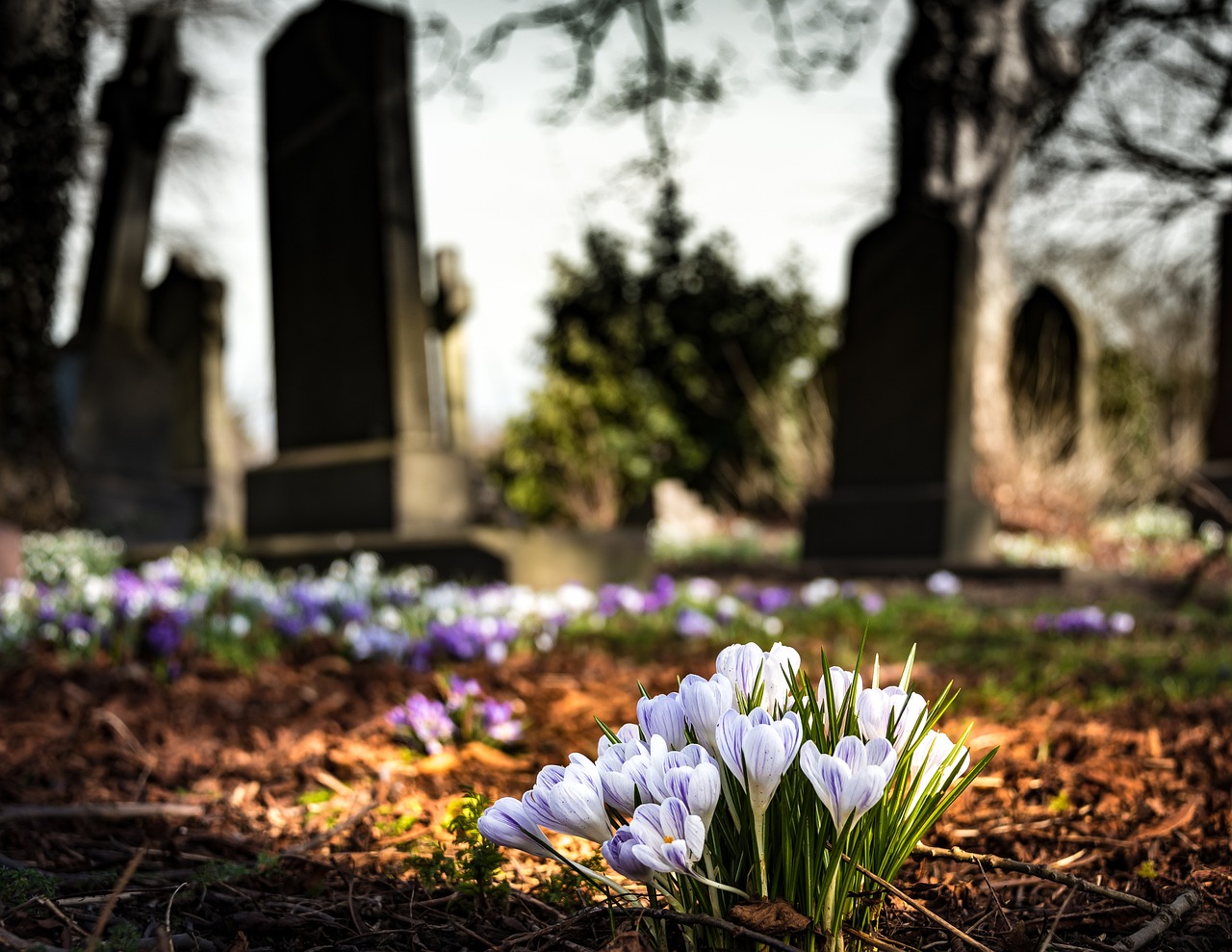 graveyard-1417871_1280.jpg