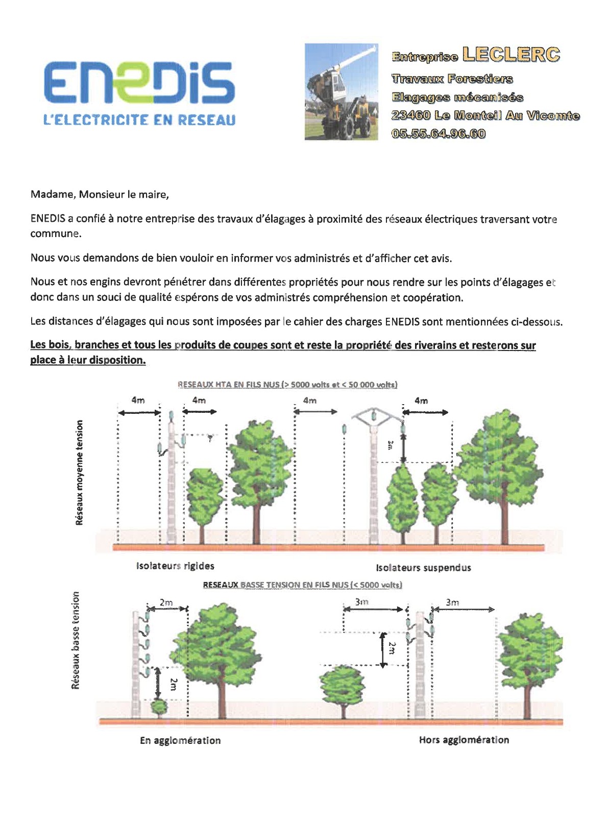 Elagage St Amand 3.jpg