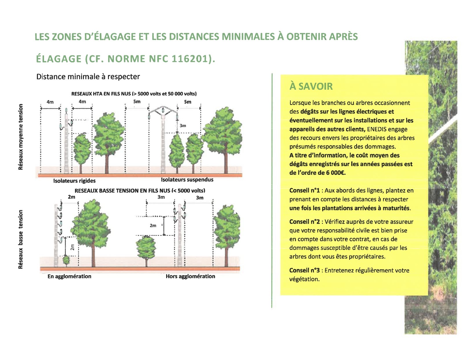 Elagage St Amand 2.jpg