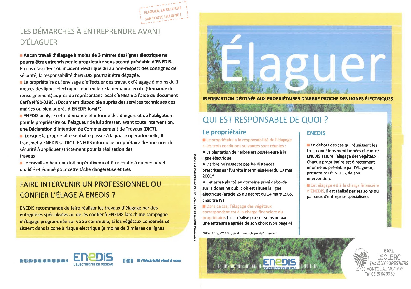 Elagage St Amand 1.jpg