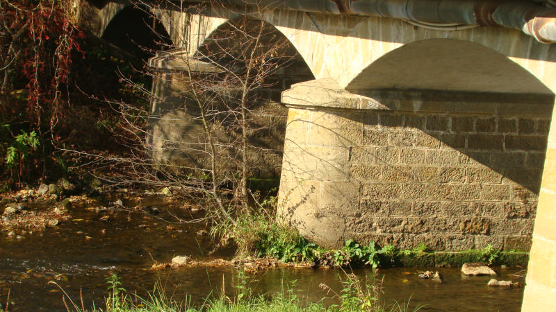 pont sur le sornin.jpg