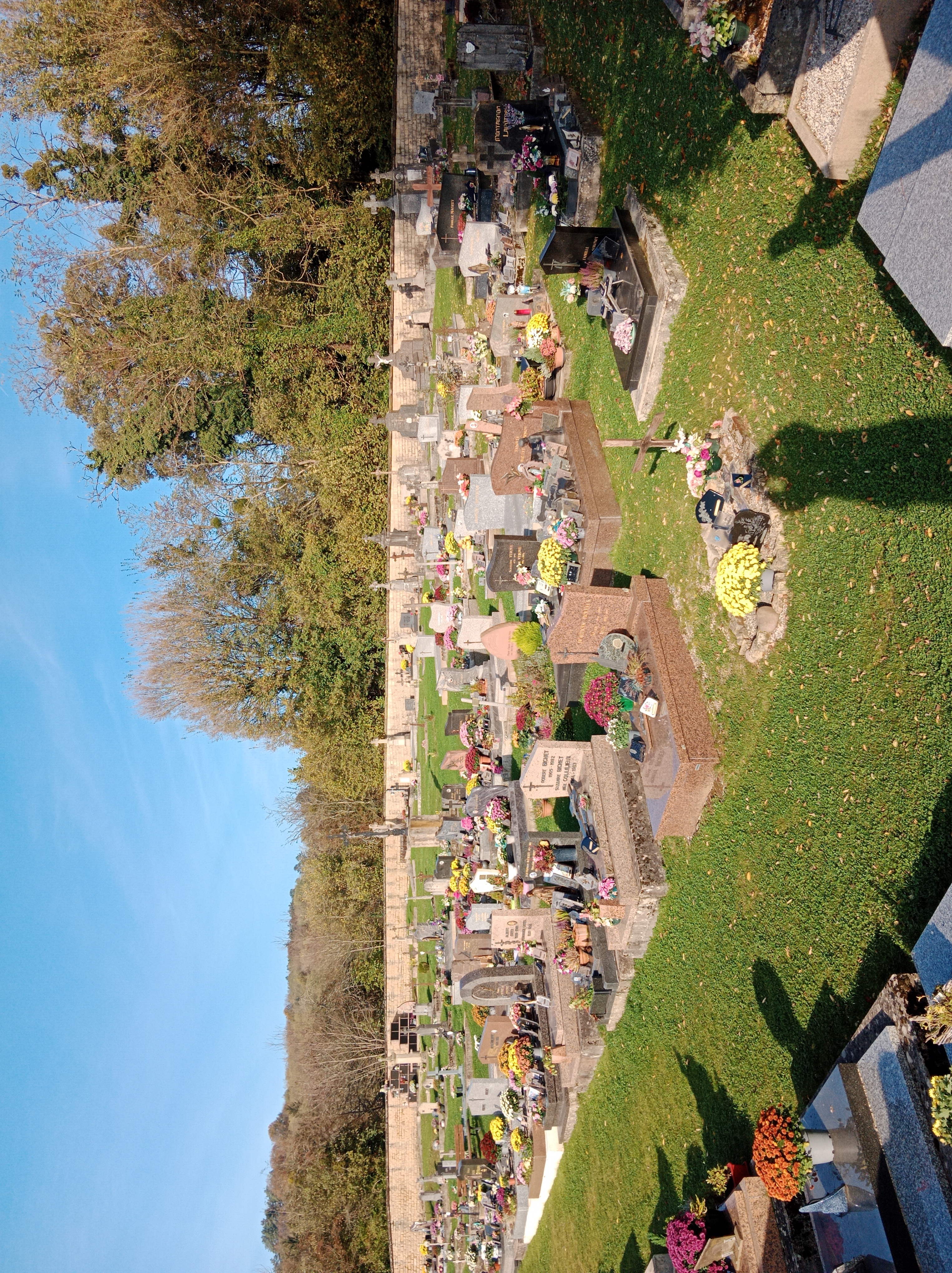 IMG_20241103_095347.jpg