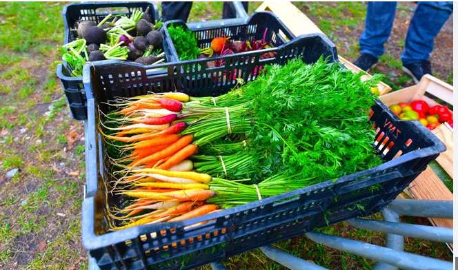 Capture d_écran 2025-10-28 165734.png