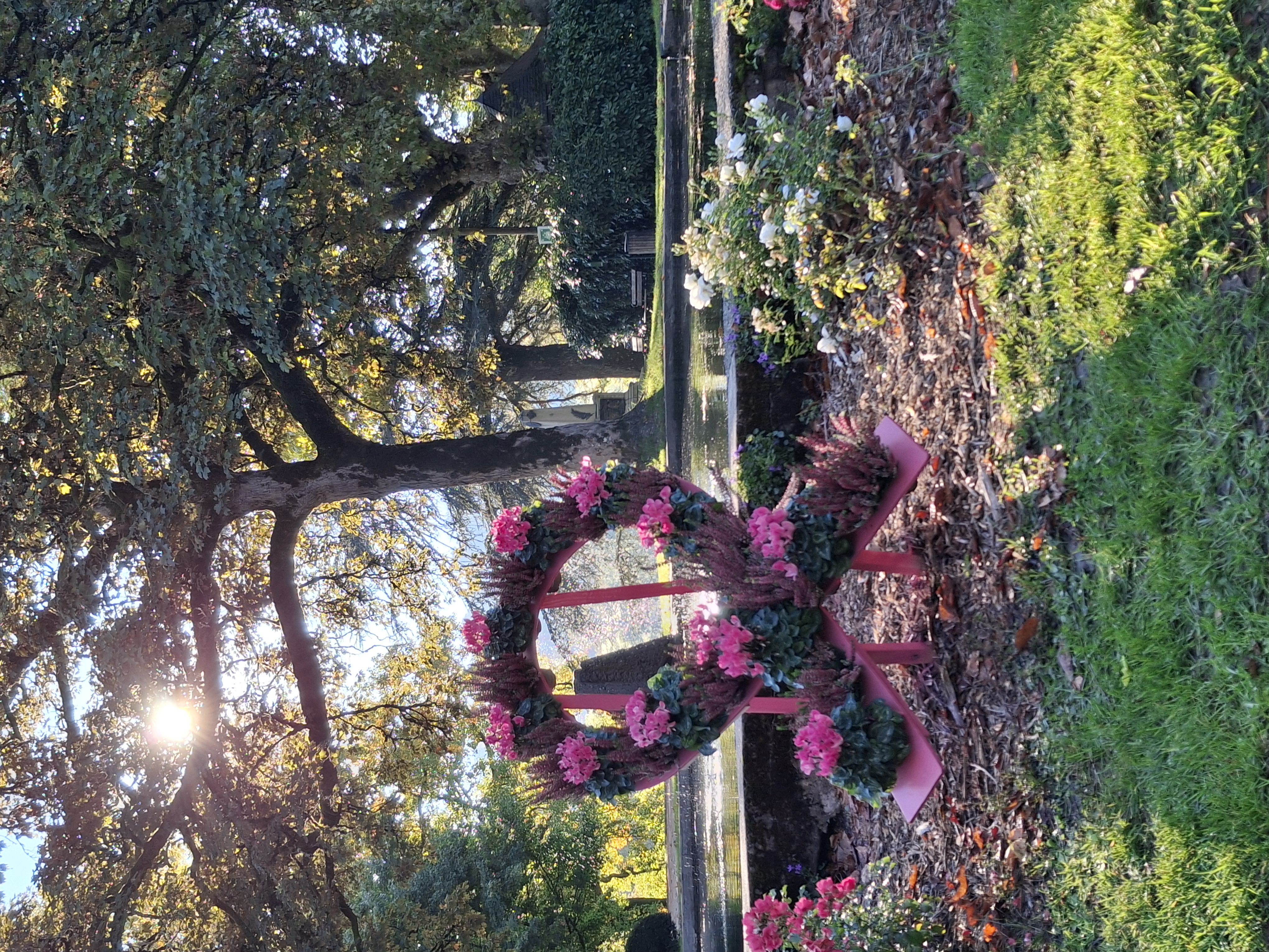 20251001_094345.jpg