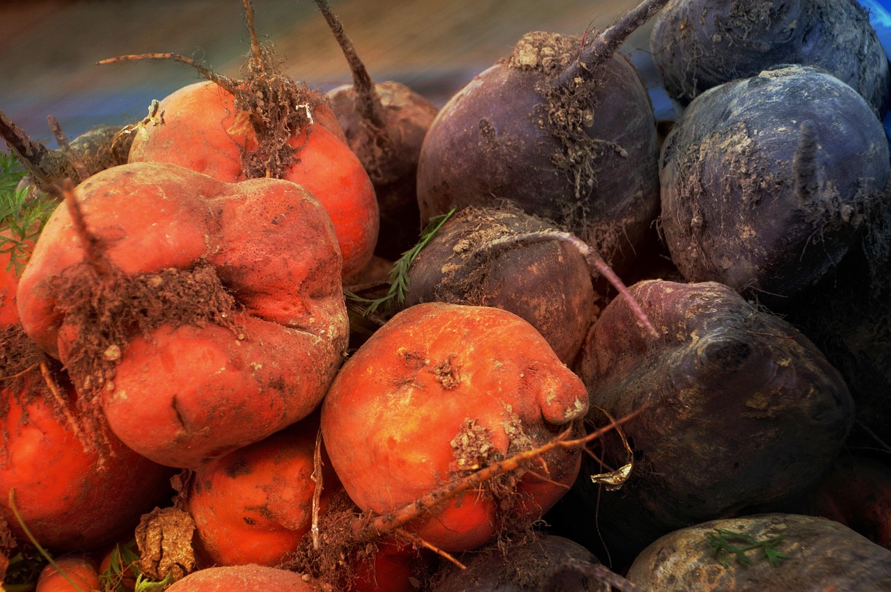 beets-3743975_1280.jpg