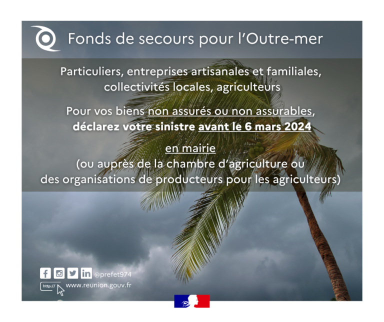 FSOM_Visuel-768x644.png