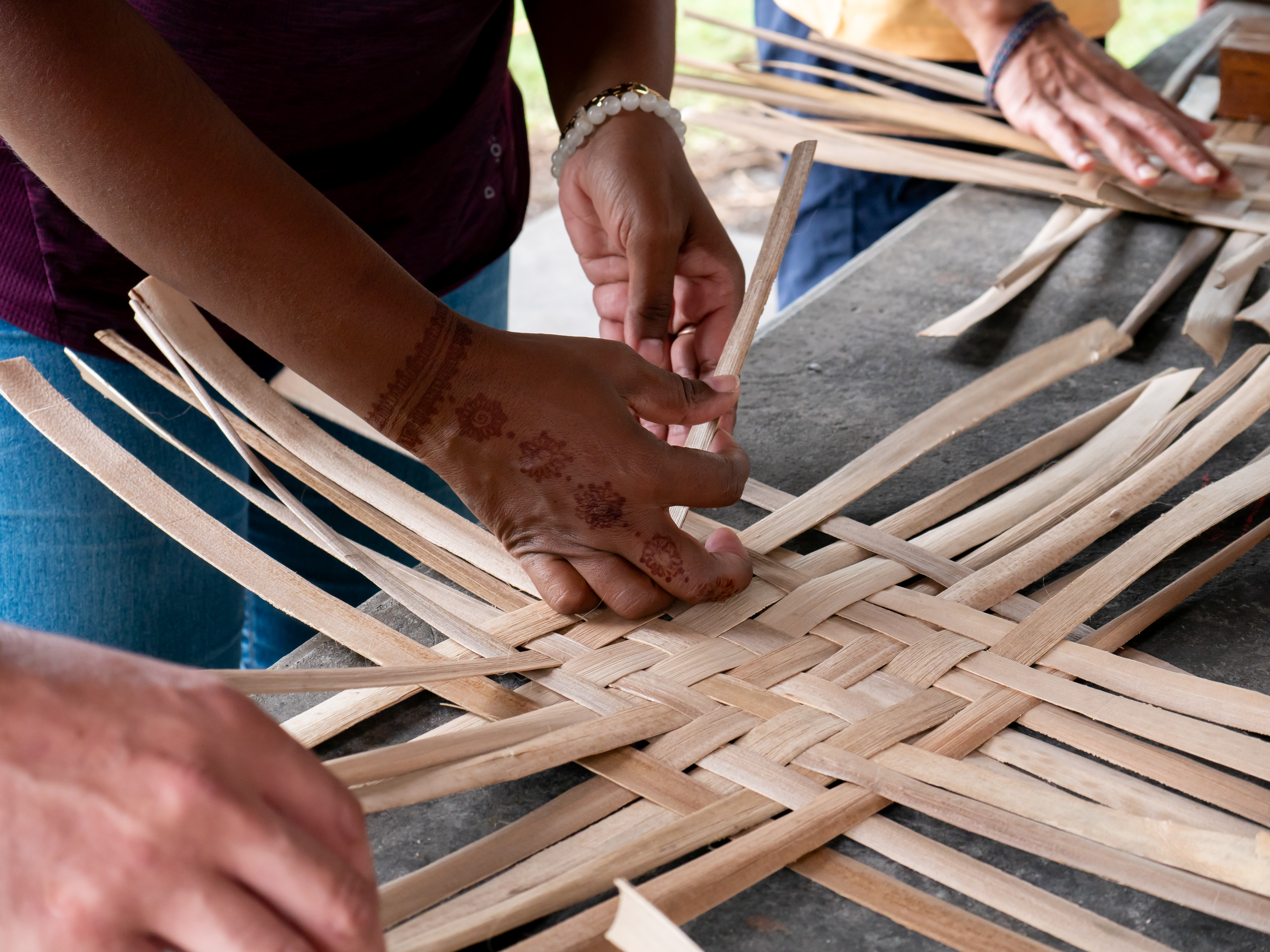 Sur la route des 5 sens. Credits IRT@La Petite Cr‚ole dt juin 2034 _41_.jpg