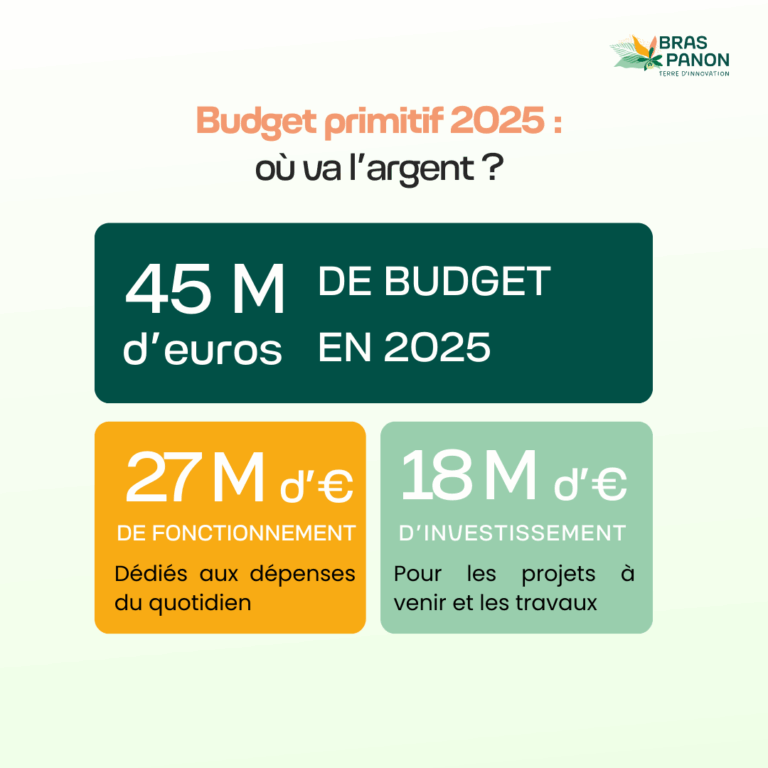 Budget-primitif-2025-768x768.png