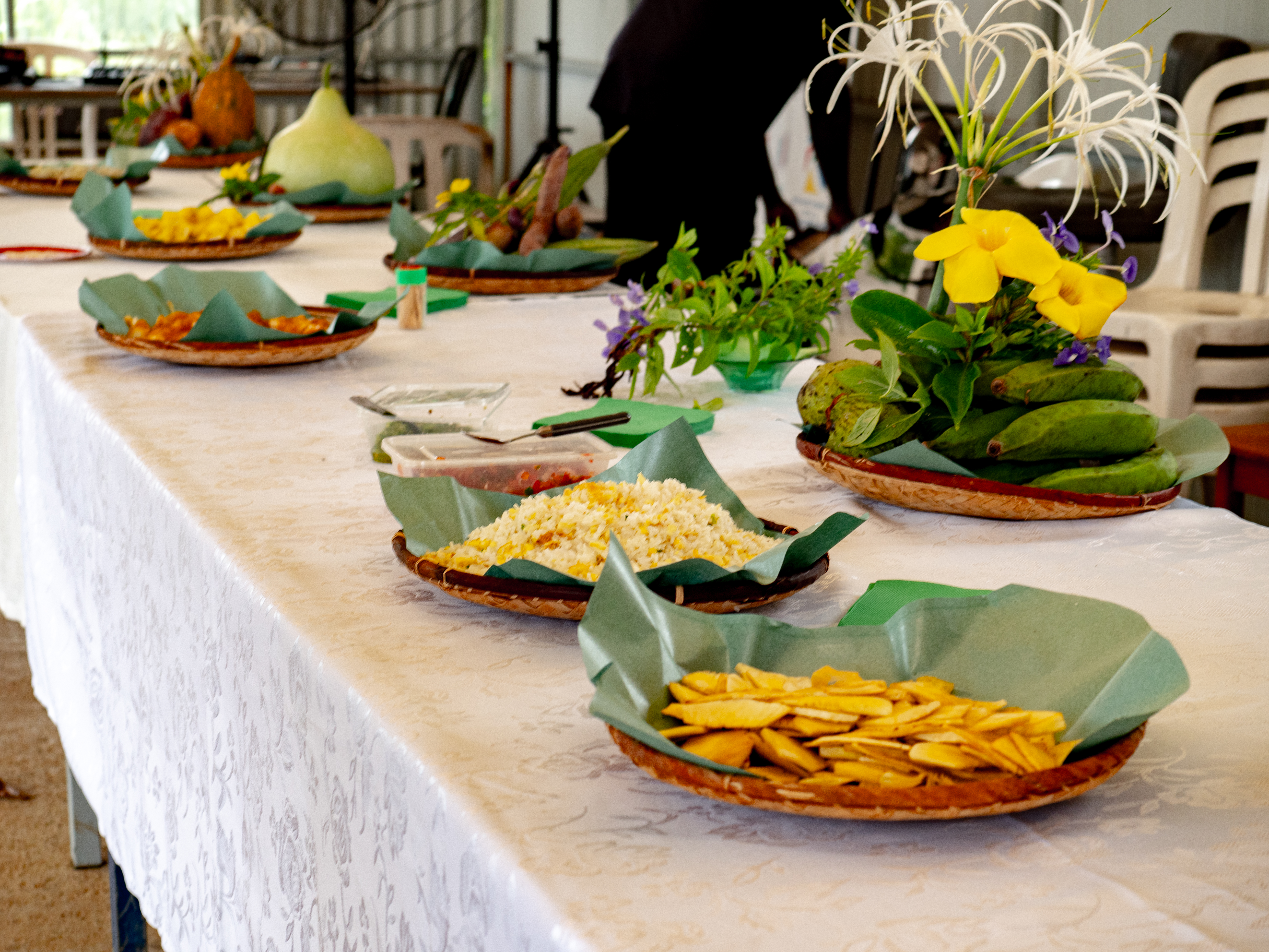 Sur la route des 5 sens. Credits IRT@La Petite Cr‚ole dt juin 2034 _35_.jpg