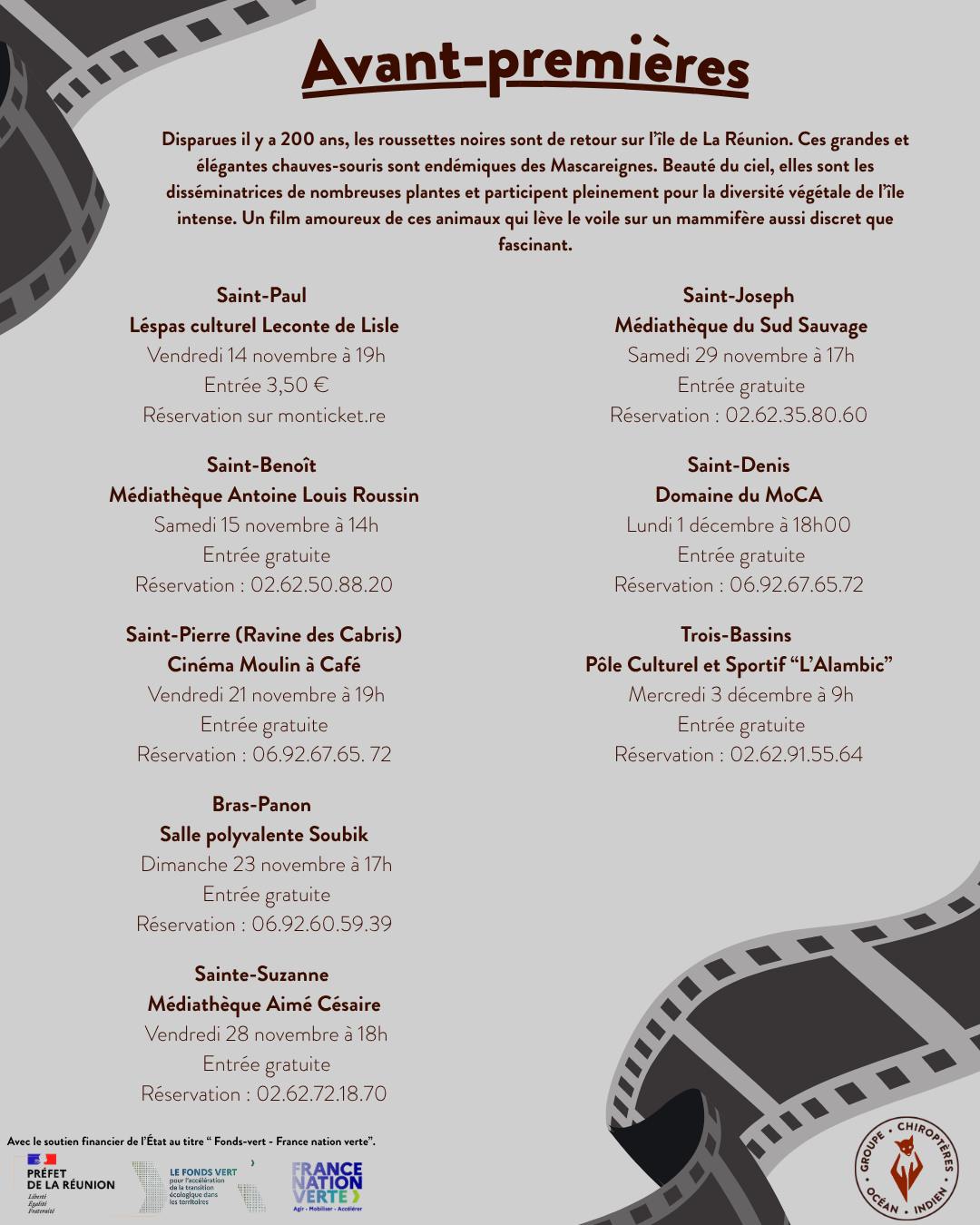 20251123_Roussette noire 3.jpg