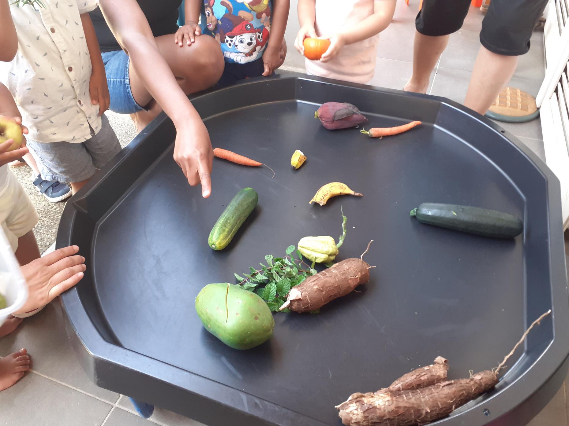 alimentation.jpeg