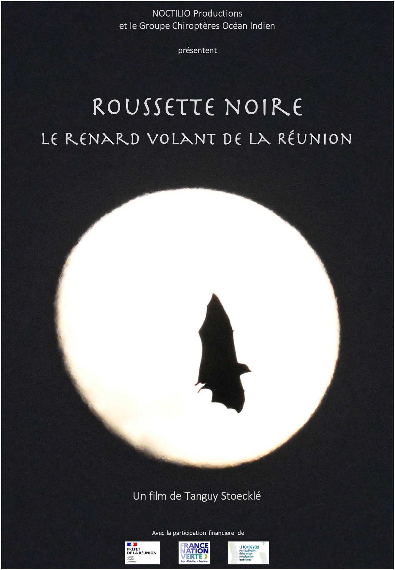 20251123_Roussette noire.jpg