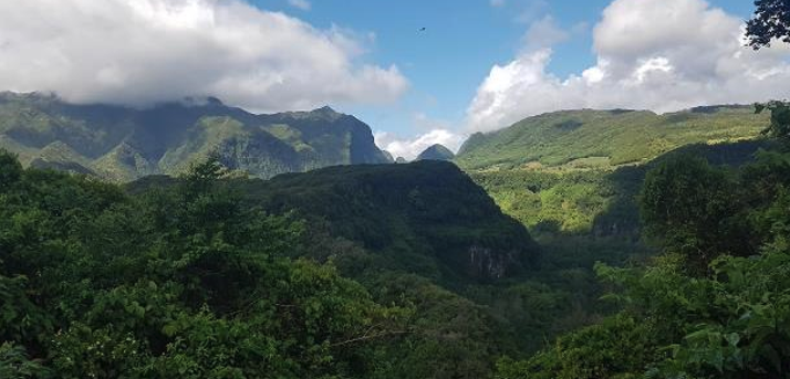 Capture d’écran 2024-04-24 à 14.34.31.png