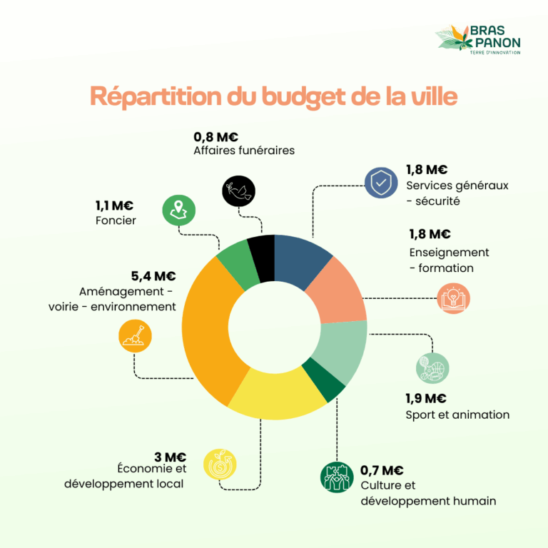 budget-2025-par-thematiques-768x768.png