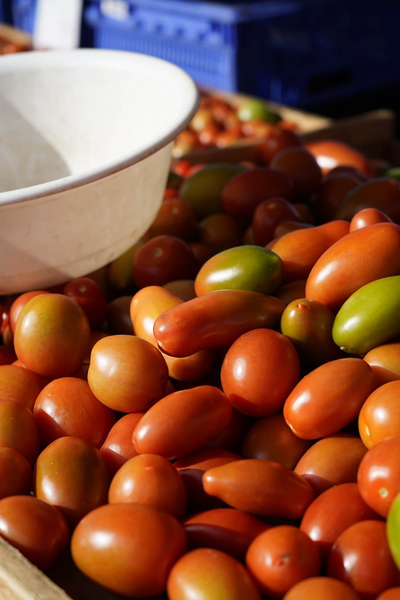 Marché forain_Tomates.jpg