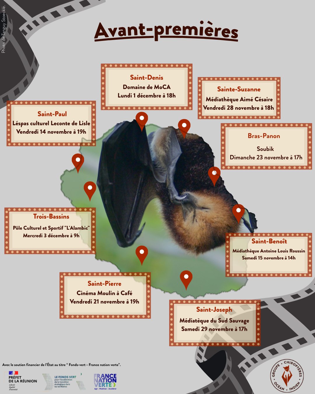 20251123_Roussette noire 2.jpg