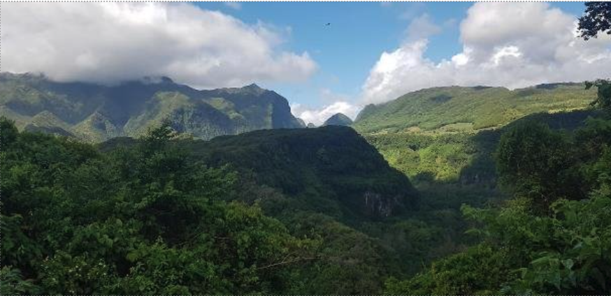 Capture d’écran 2024-04-25 à 09.58.36.png