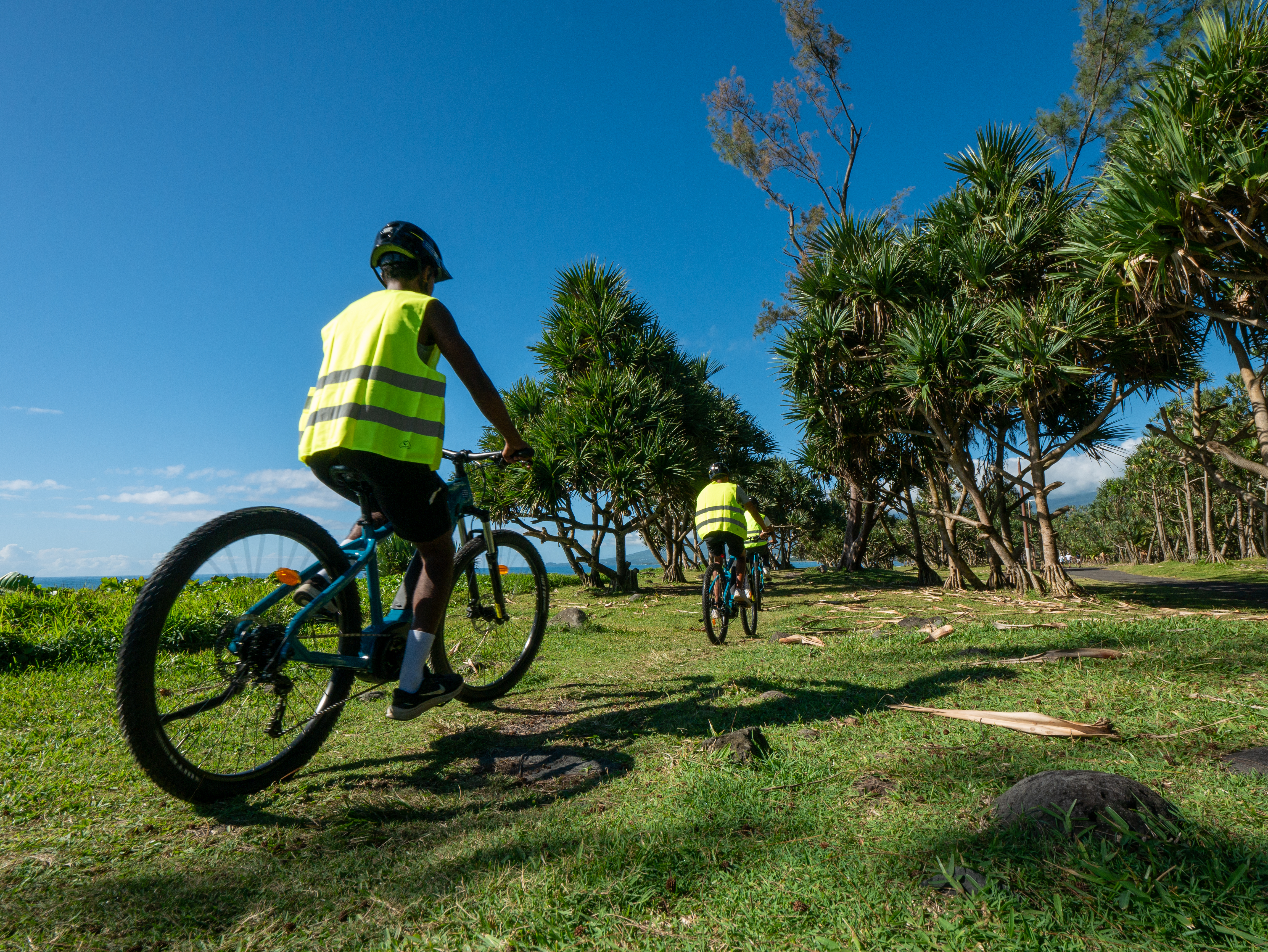 Sur la route des 5 sens. Credits IRT@La Petite Cr‚ole dt juin 2034 _74_.jpg