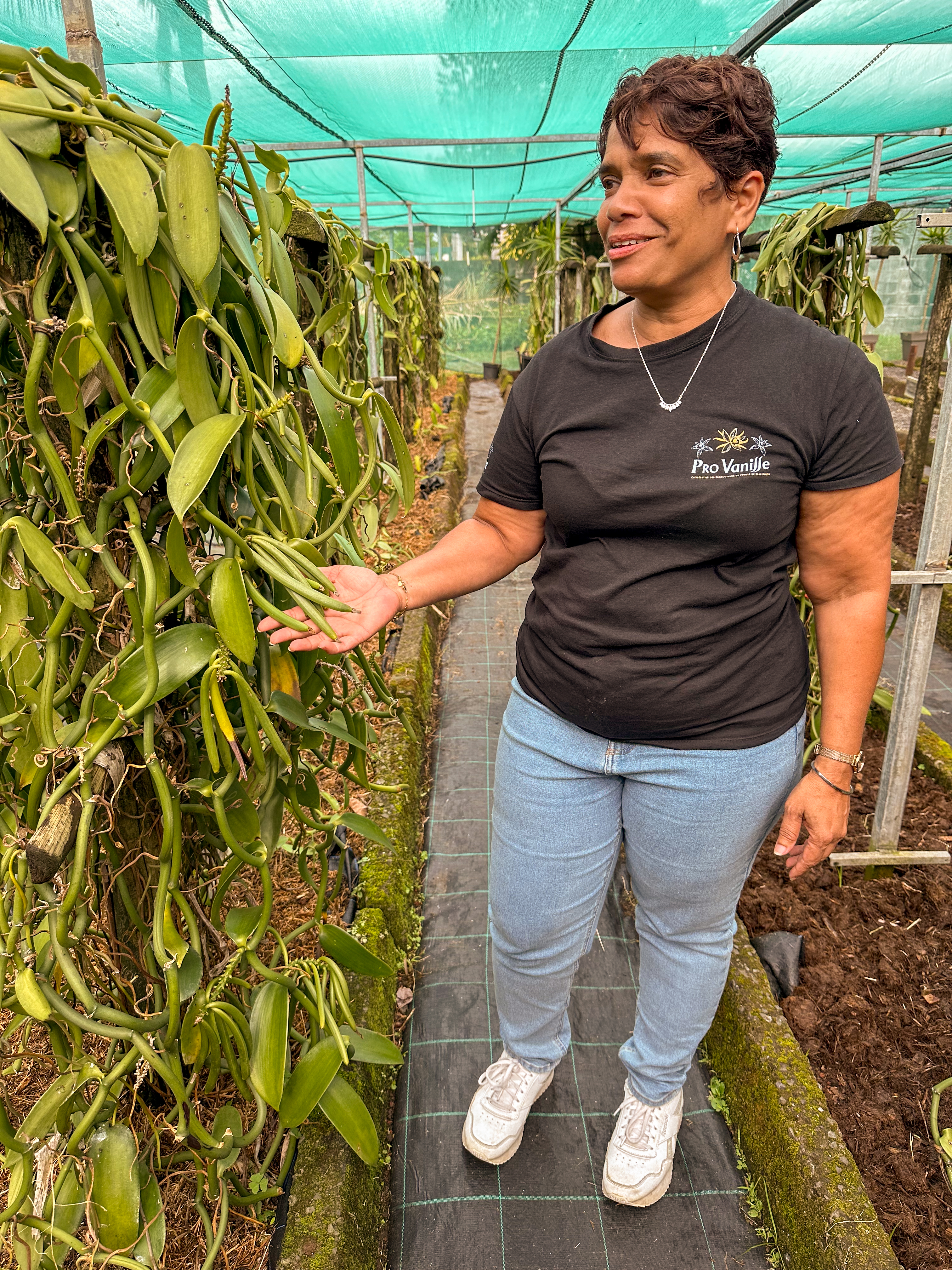 Sur la route des 5 sens. Credits IRT@La Petite Cr‚ole dt juin 2034 _20_.jpg