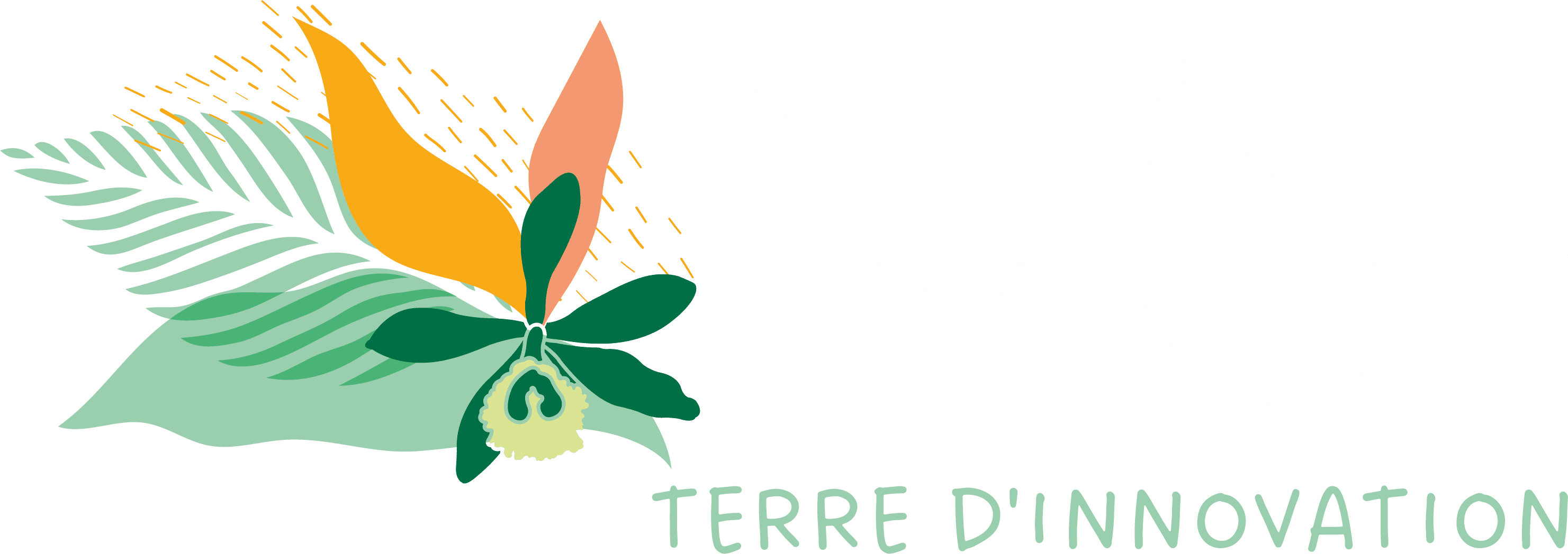 Ville de Bras-Panon