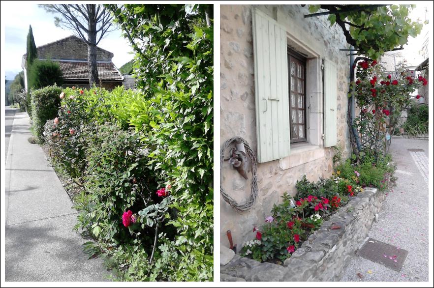 Village fleuri.jpg
