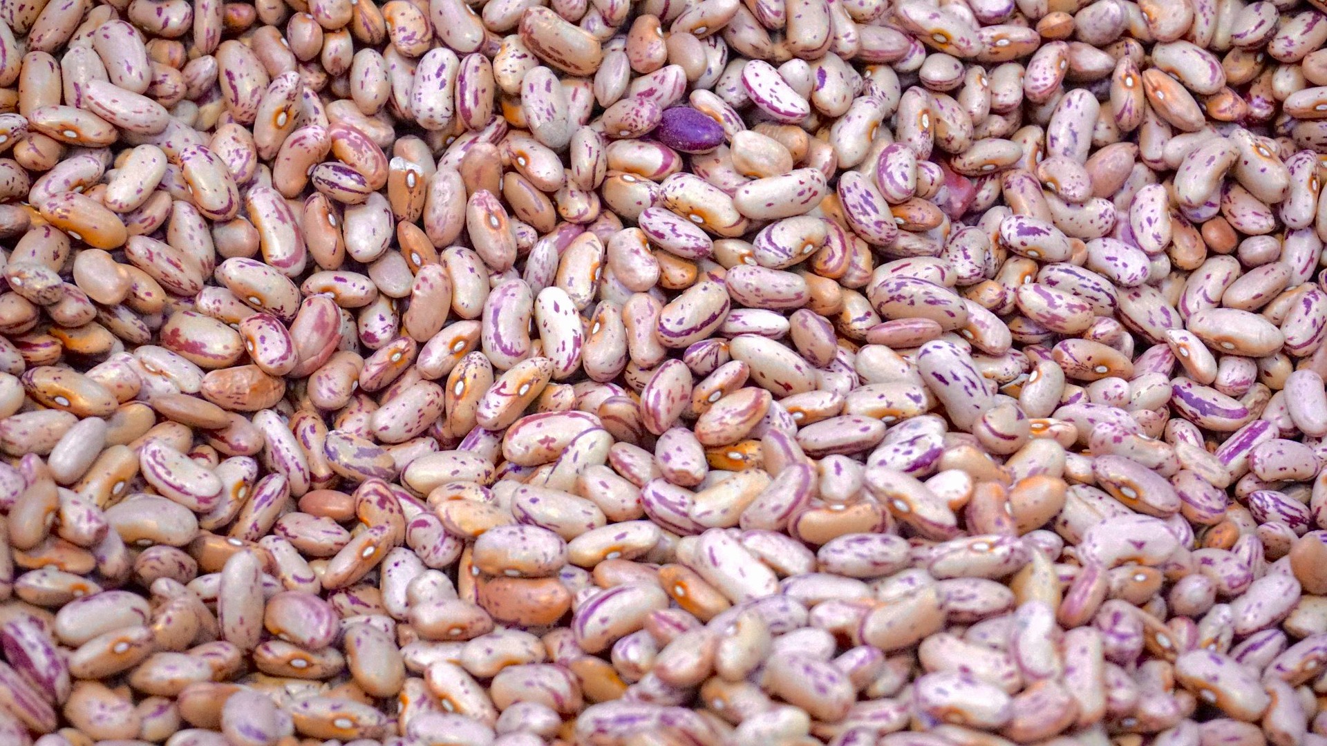 agriculture-1867025_1920.jpg