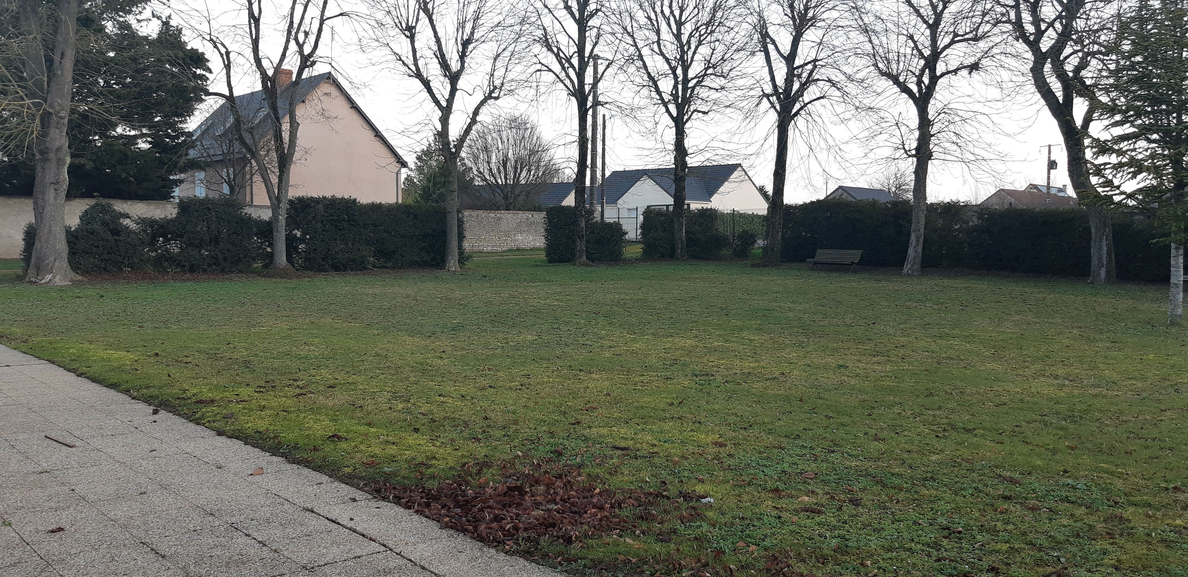 Parc Salle Pierre TERRIER.jpg
