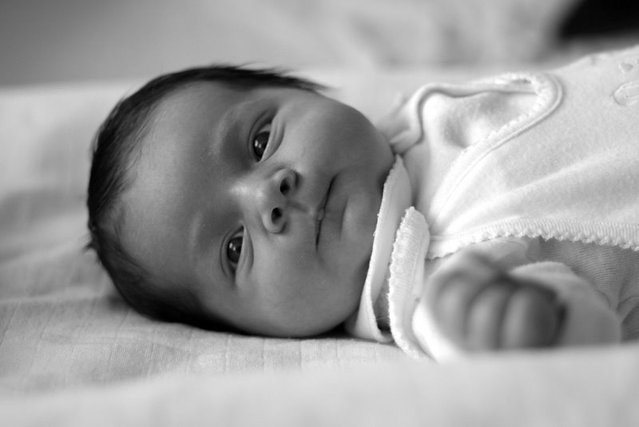 baby-1432706-639x426.jpg