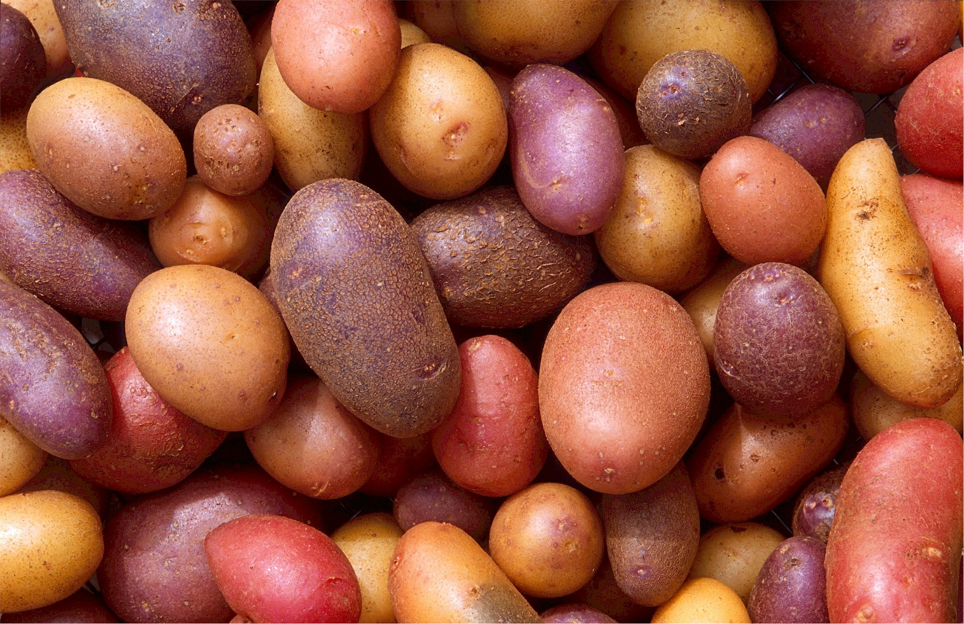 potatoes-522486_1920.jpg