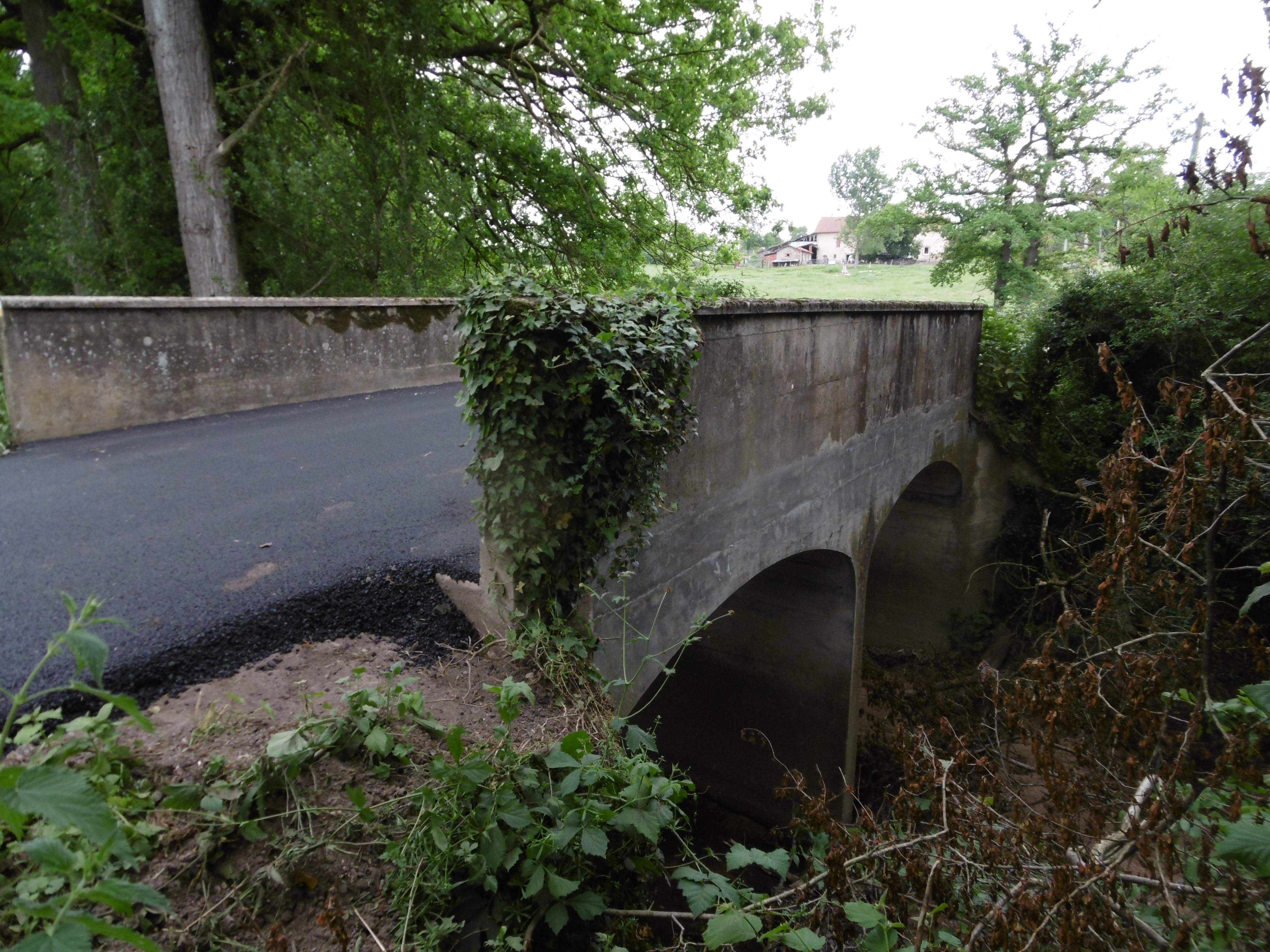 PONT-P1000491.JPG