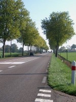 RN7-cache_2411998333.jpg