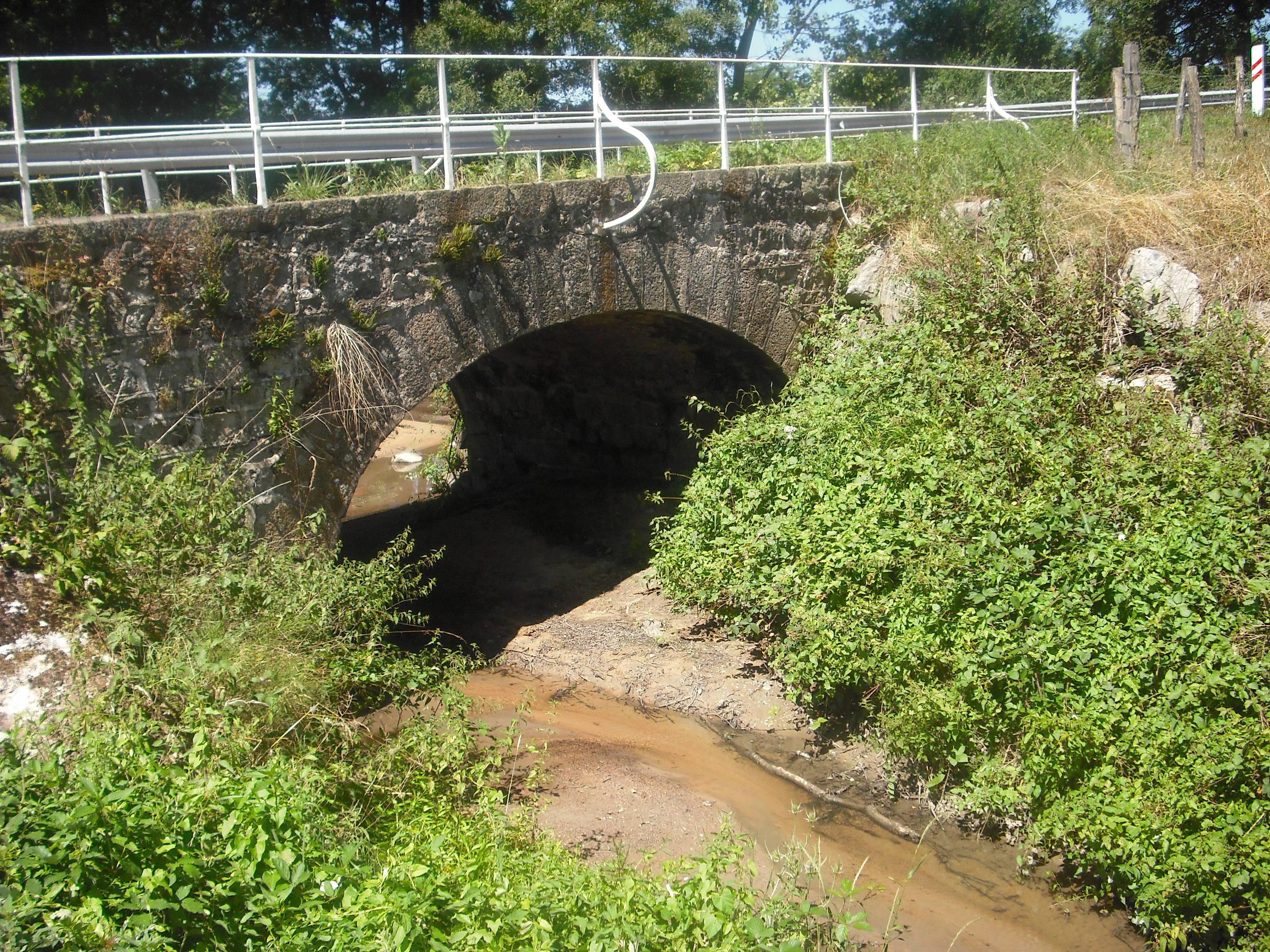 pont de la raillere-DSCF0441.JPG