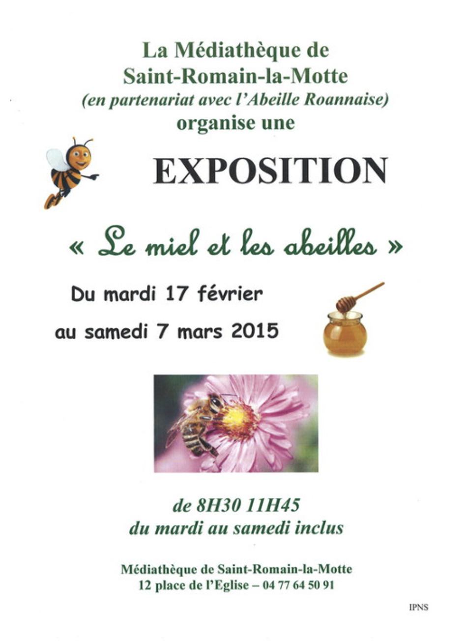 du miel et des abeilles.png