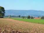 thumb_2411912937.jpg