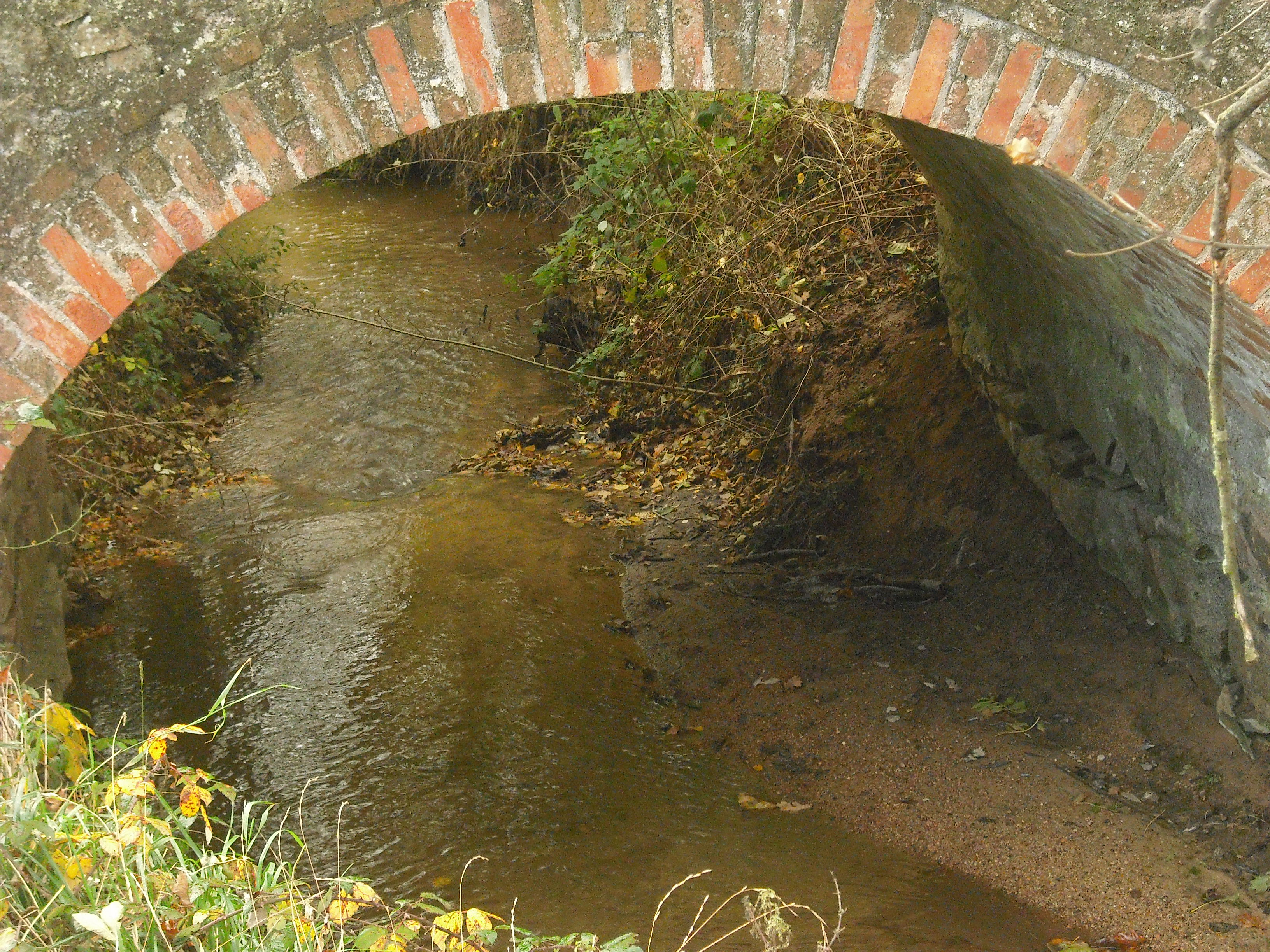 Pont oudan chavenotte_1.JPG