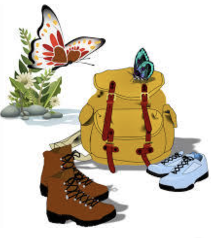 Capture d’écran 2024-08-05 à 13.17.04.png