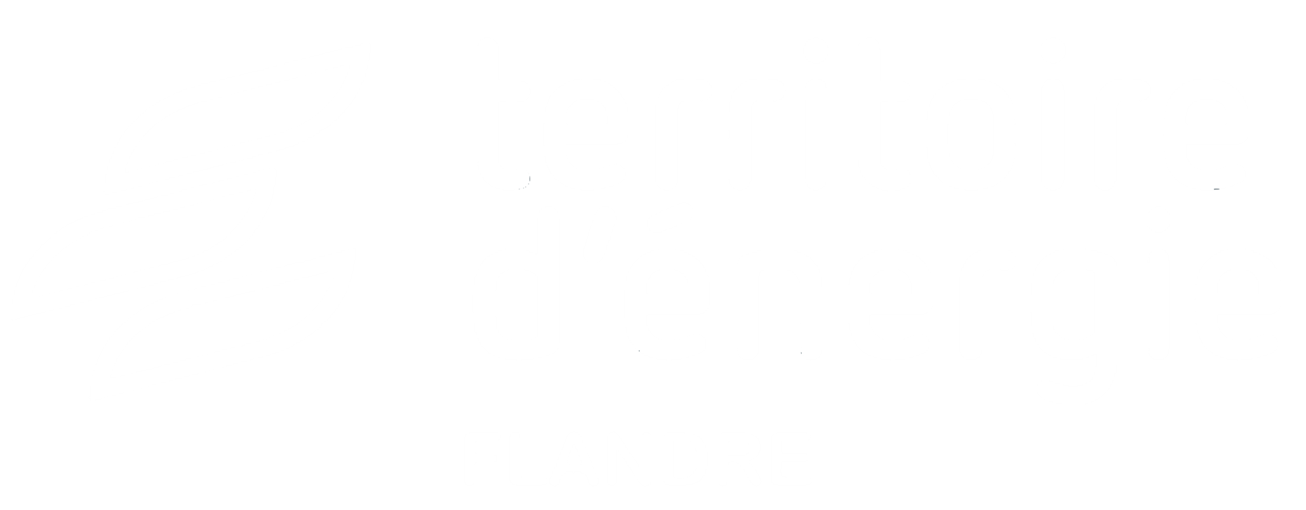 Territoire d'Energie Flandre