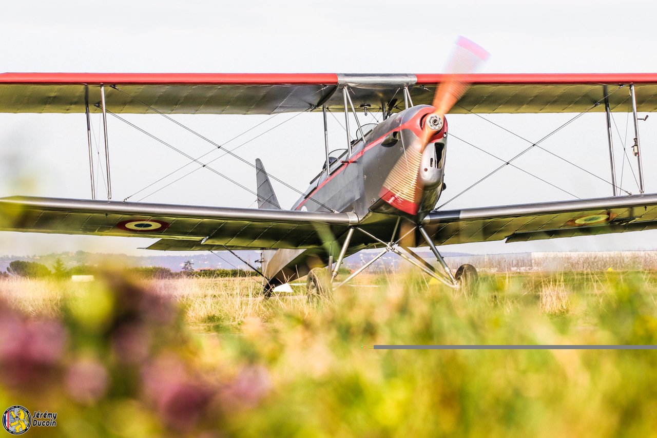 Caudron Luciole_IMG_0316.jpeg