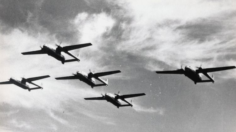@Patrouille Guimauve.jpg